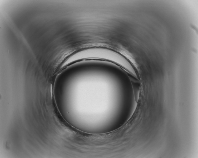 X0000096220013200801251107