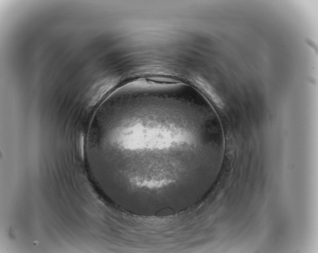 X0000096220014200801251107