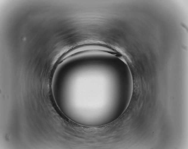 X0000096220015200801251107