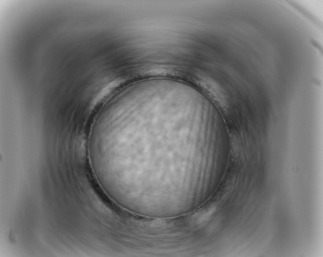 X0000096220016200801251107