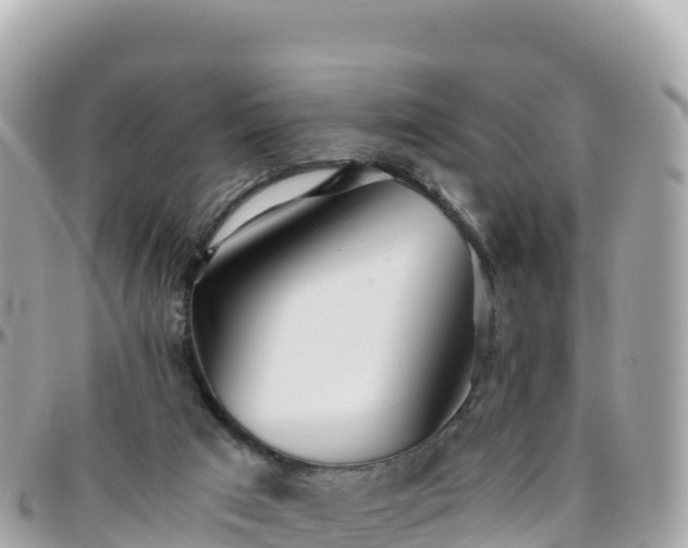 X0000096220017200801251107