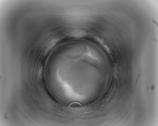 X0000096220018200801251107