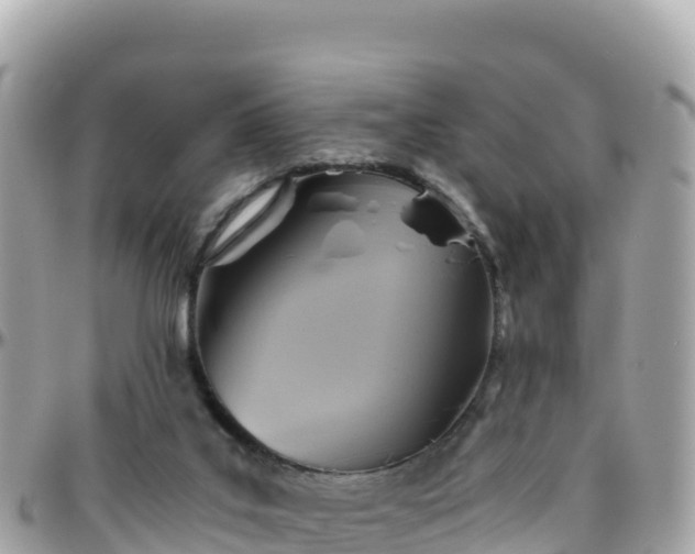 X0000096220019200801251107