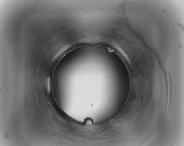 X0000096220020200801251107