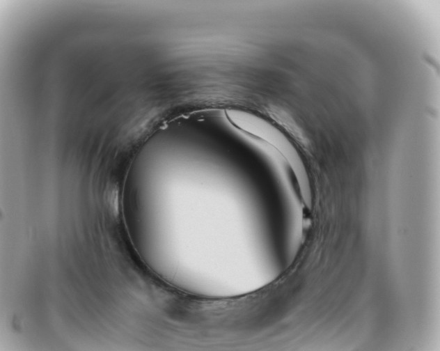 X0000096220021200801251107