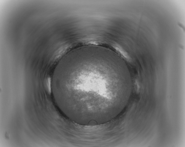 X0000096220022200801251107