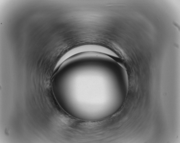 X0000096220025200801251107