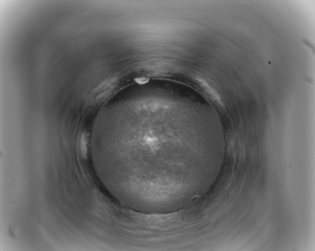 X0000096220026200801251107