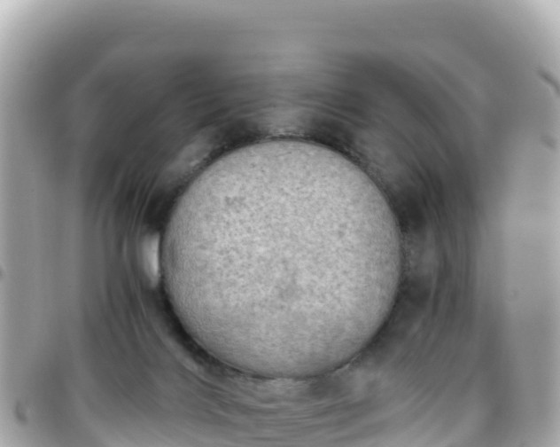 X0000096220028200801251107