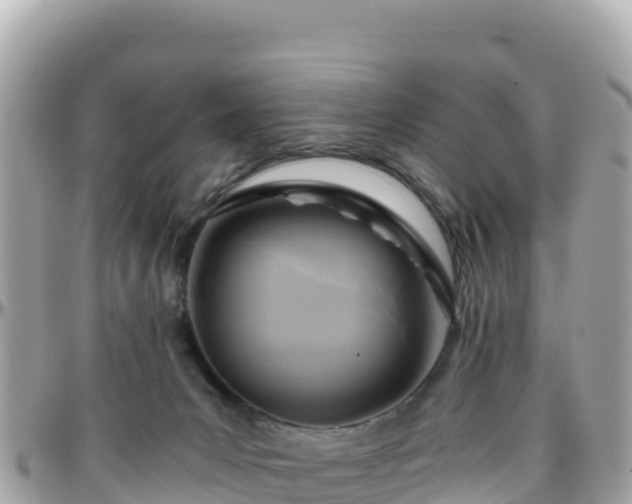 X0000096220031200801251107