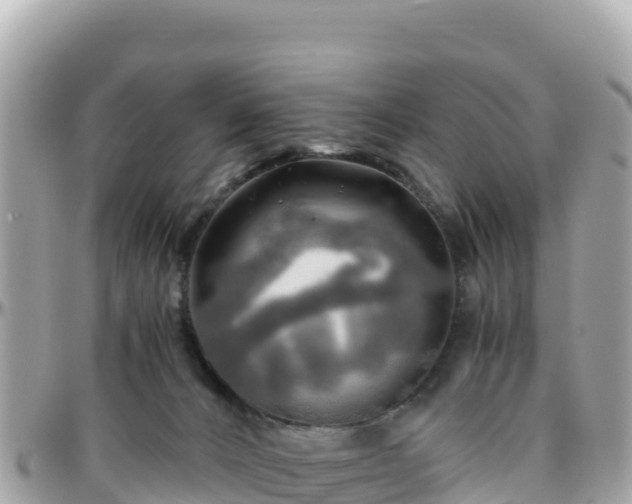 X0000096220032200801251107