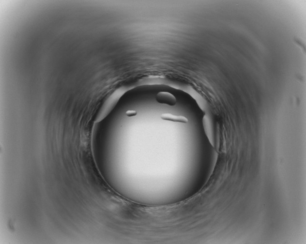 X0000096220033200801251107