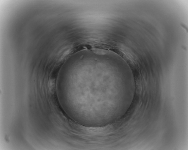 X0000096220034200801251107