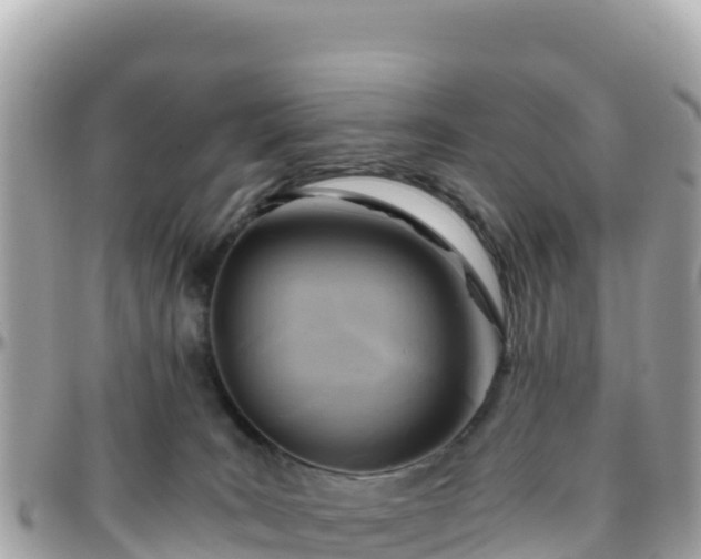 X0000096220035200801251107