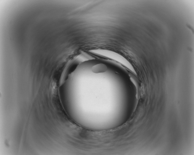 X0000096220037200801251106