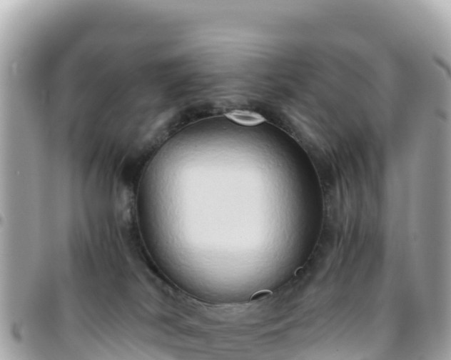 X0000096220038200801251106