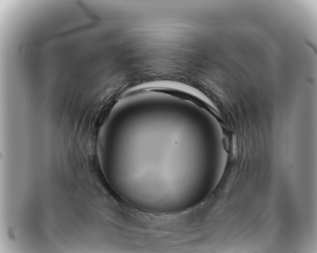 X0000096220039200801251106