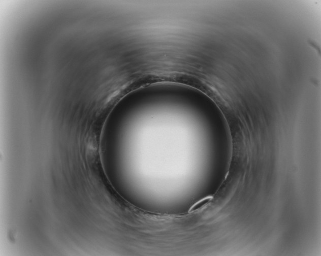 X0000096220040200801251106