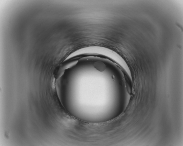 X0000096220041200801251106