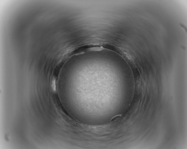 X0000096220042200801251106