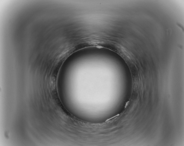 X0000096220043200801251106