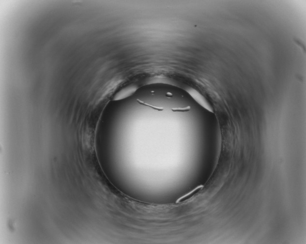 X0000096220044200801251106