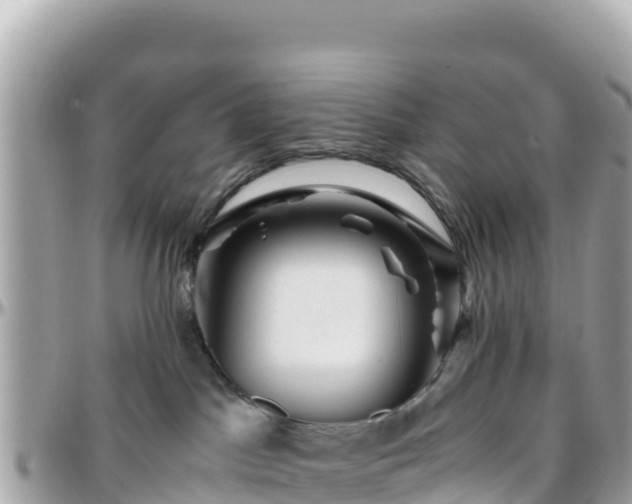 X0000096220045200801251106