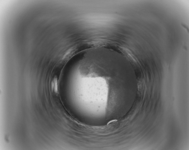 X0000096220046200801251106