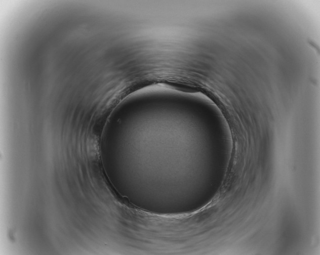 X0000096220048200801251106