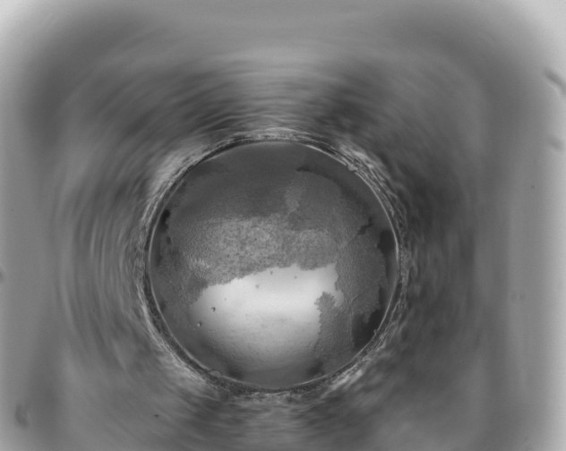 X0000096220049200801251106