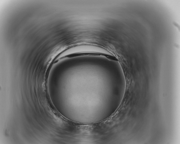 X0000096220050200801251106