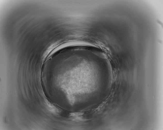 X0000096220051200801251106