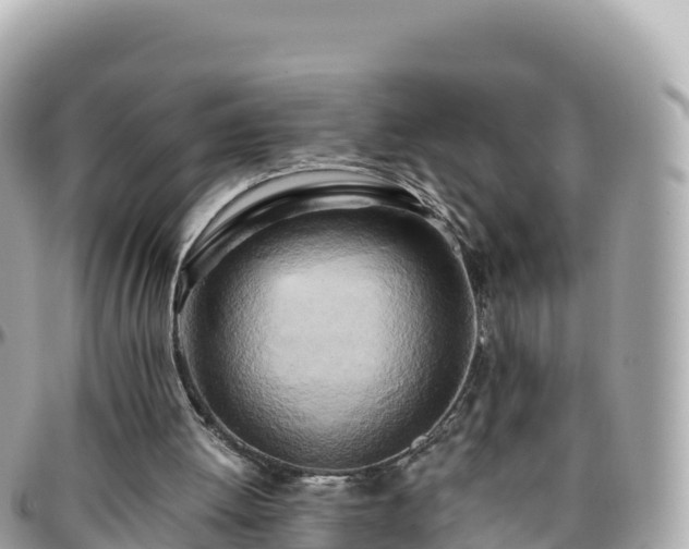 X0000096220052200801251106