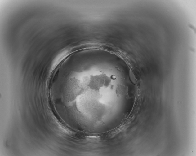 X0000096220053200801251106