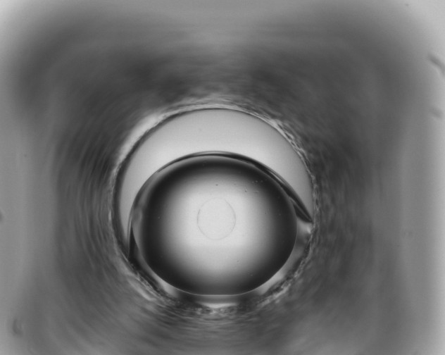 X0000096220056200801251106