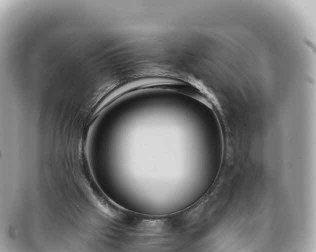 X0000096220057200801251106