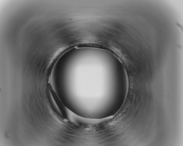 X0000096220060200801251106