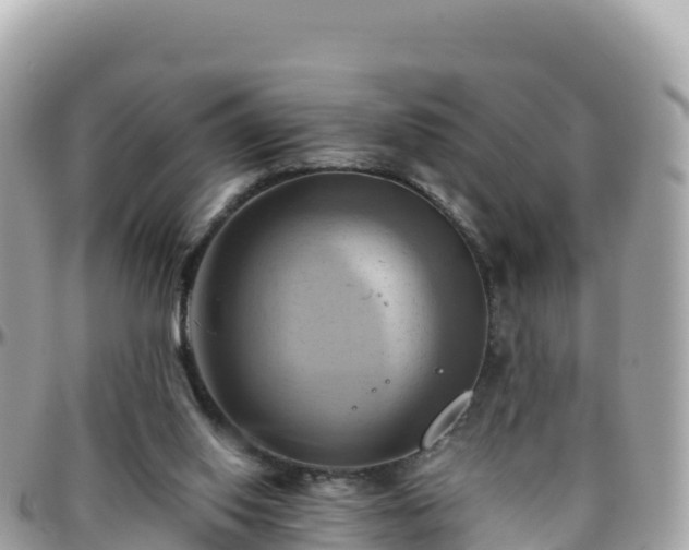 X0000096220062200801251106