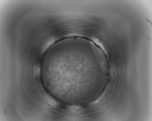 X0000096220063200801251106