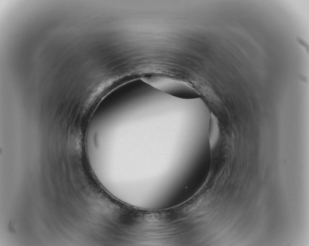 X0000096220064200801251106