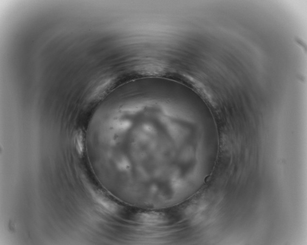 X0000096220069200801251106