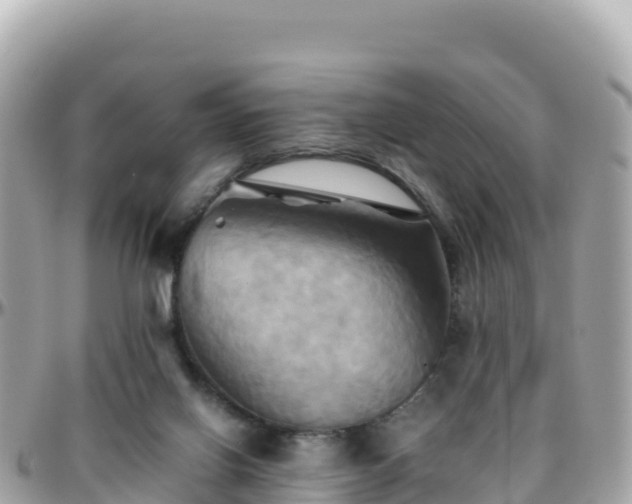 X0000096220070200801251106