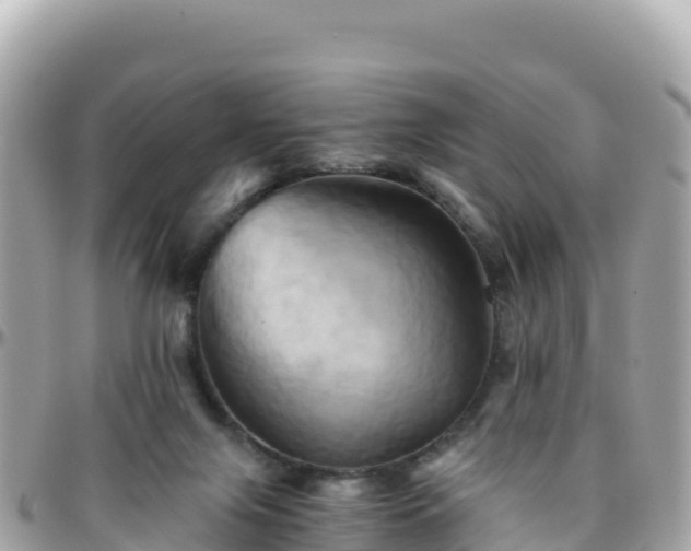 X0000096220071200801251106