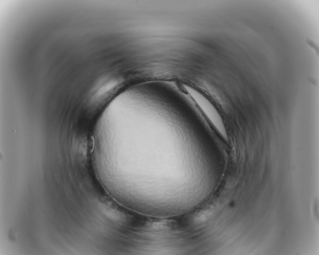 X0000096220072200801251106