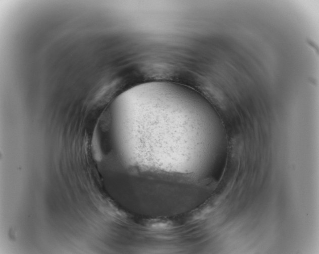 X0000096220073200801251106