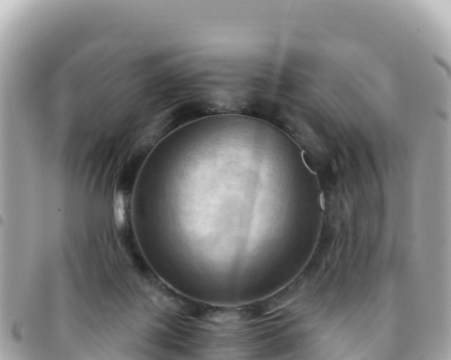 X0000096220075200801251106