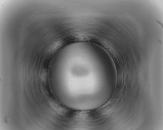 X0000096220078200801251106