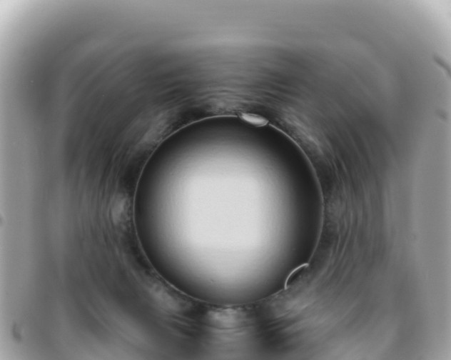 X0000096220079200801251106