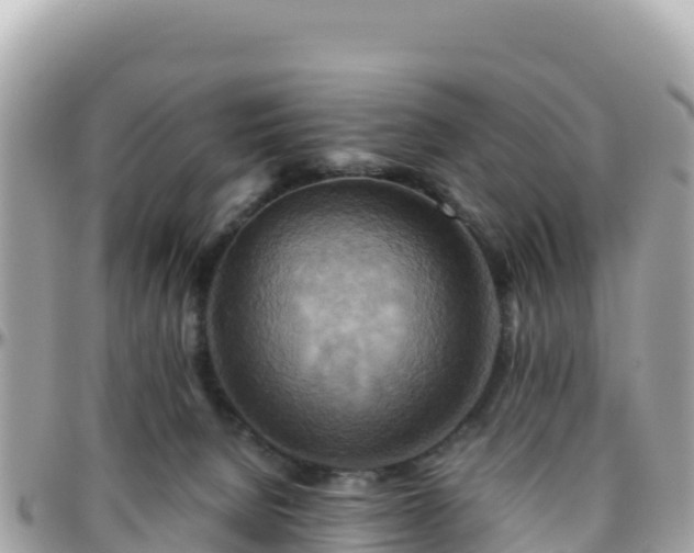 X0000096220080200801251106