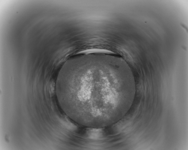 X0000096220081200801251106